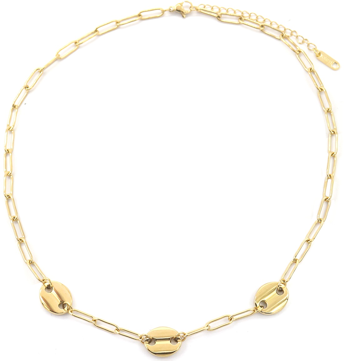 F-A19.1 N2033-022G S. Steel Chain Necklace Gold