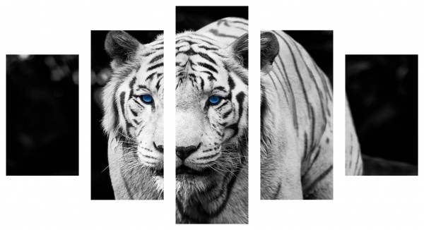 I-F1.1 CF002  Diamond Painting Set 5 frame Tiger 150x90cm